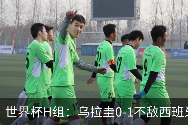 世界杯H组：乌拉圭0-1不敌西班牙 佛得角0-0战平沙特阿拉伯