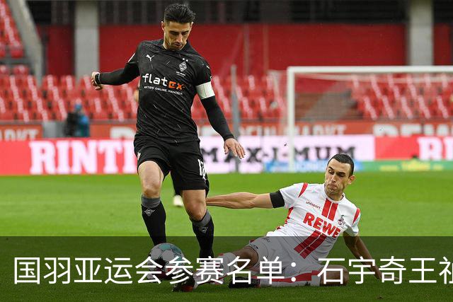 国羽亚运会参赛名单：石宇奇王祉怡领衔单打 梁王圣坛出击双打